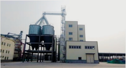 Corn Flake Production Line Photos
